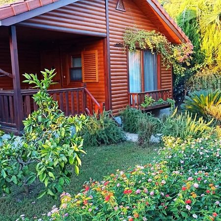 Leontopolis Apart Otel Çıralı Kültér fotó