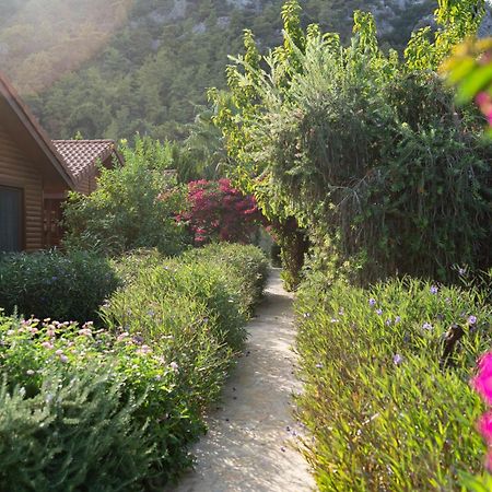 Leontopolis Apart Otel Çıralı Kültér fotó